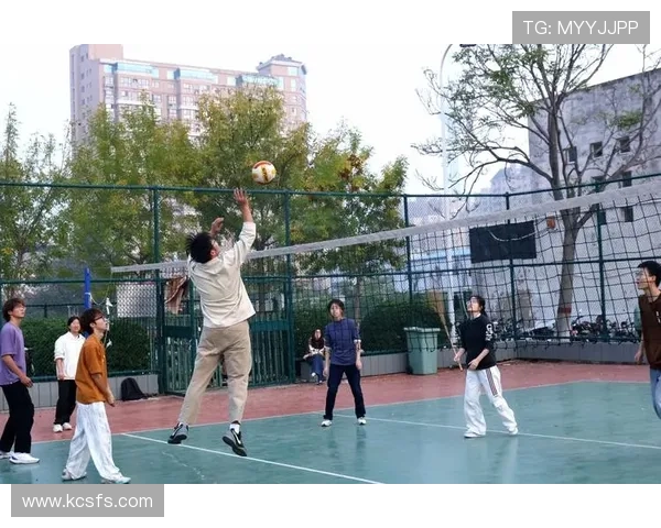 聚焦排球成都排球队如何通过团队协作提升竞技水平与凝聚力